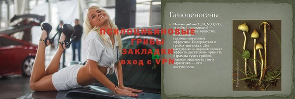 ешки Абаза