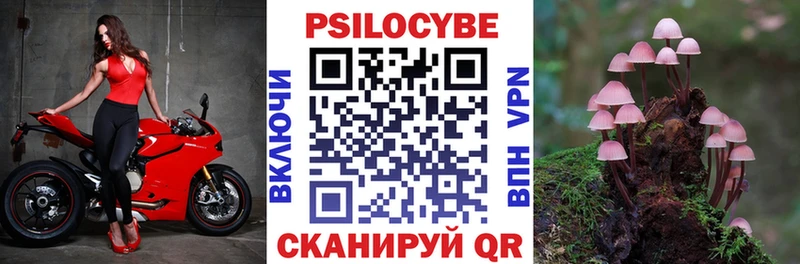Псилоцибиновые грибы прущие грибы  это телеграм  Кораблино 