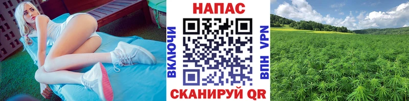 Канабис White Widow Кораблино